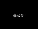 この漢字読めますか？